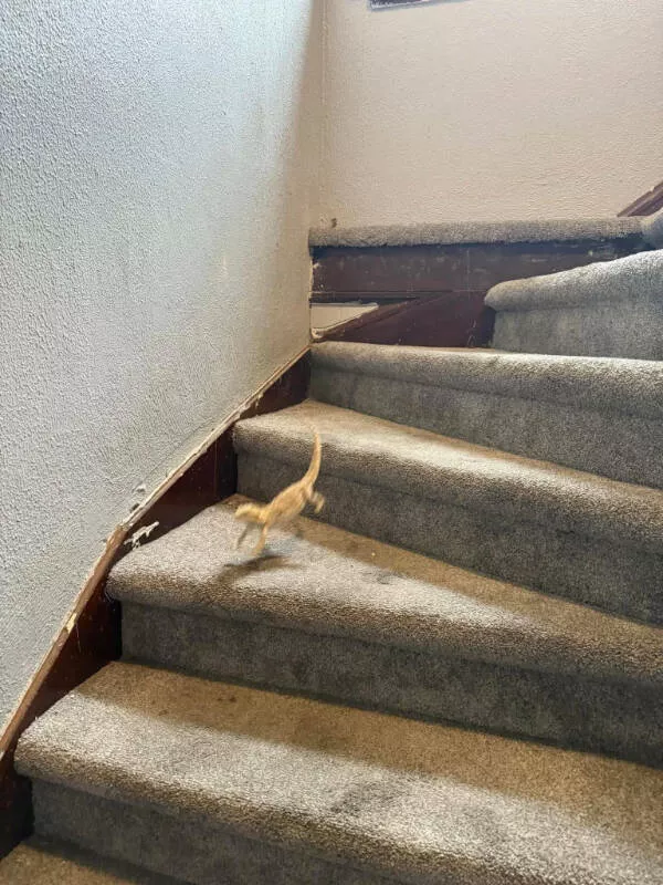 Unexplainable photos straight out of chaos - #14 