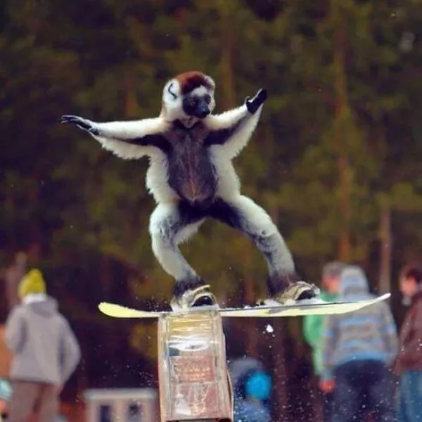 Unexplainable photos straight out of chaos - #16 