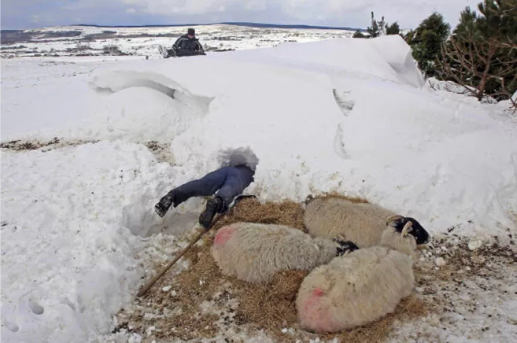Unexplainable photos straight out of chaos - #18 