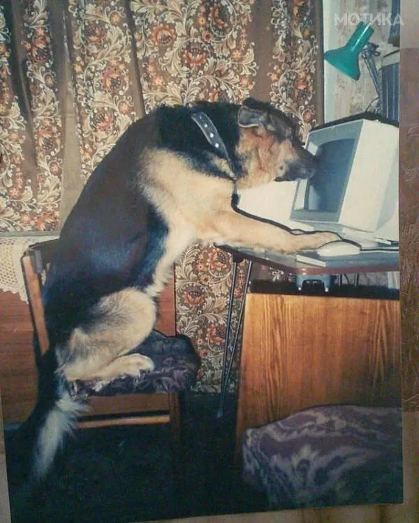 Unexplainable photos straight out of chaos