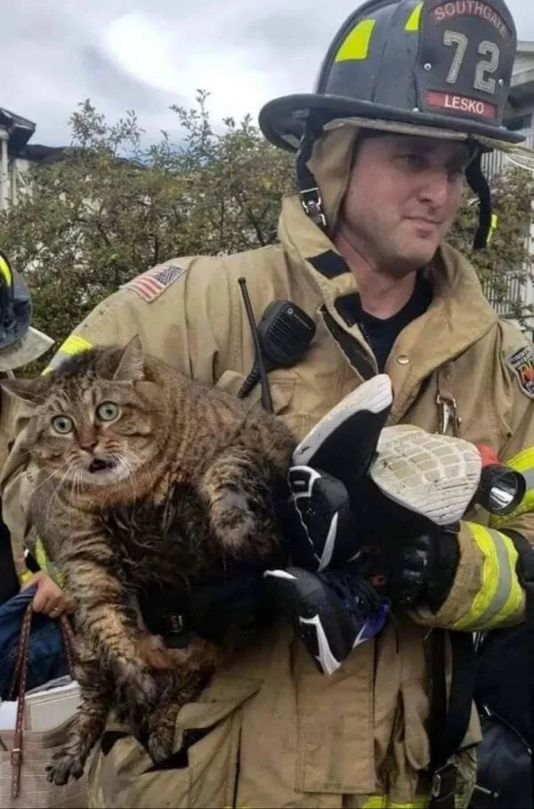 Unexplainable photos straight out of chaos Unexplainable photos straight out of chaos