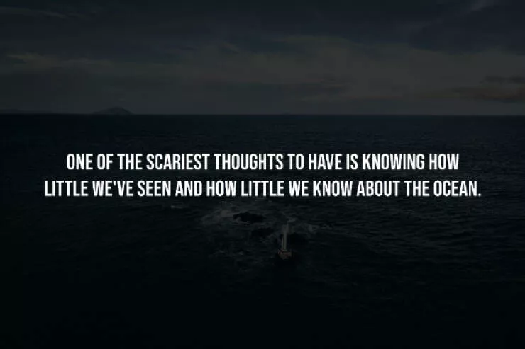 Unsettling facts youll wish you never knew - #13 