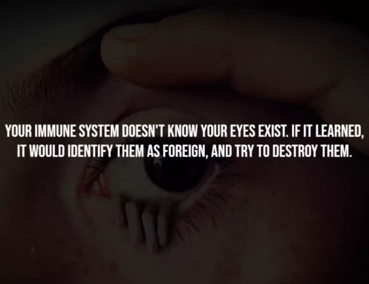 Unsettling facts youll wish you never knew - #2 