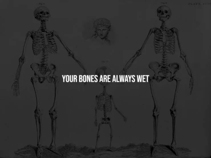 Unsettling facts youll wish you never knew