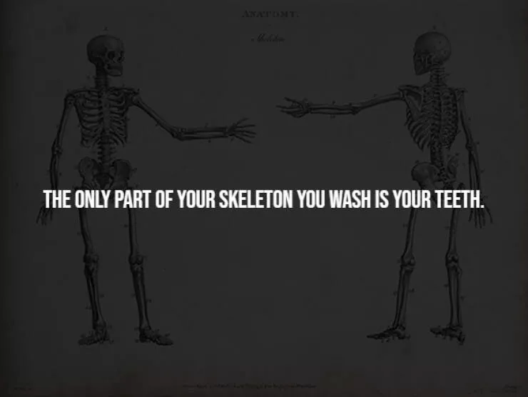 Unsettling facts youll wish you never knew - #7 