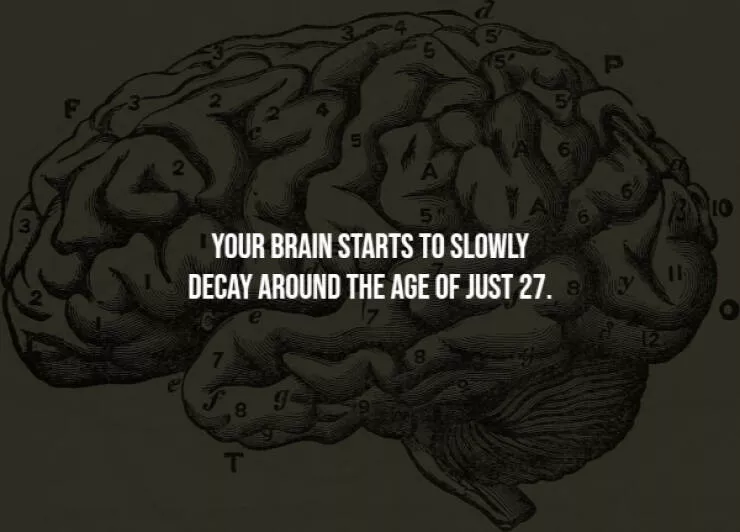 Unsettling facts youll wish you never knew - #9 