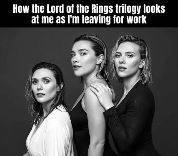 The one meme to rule them all - #18 