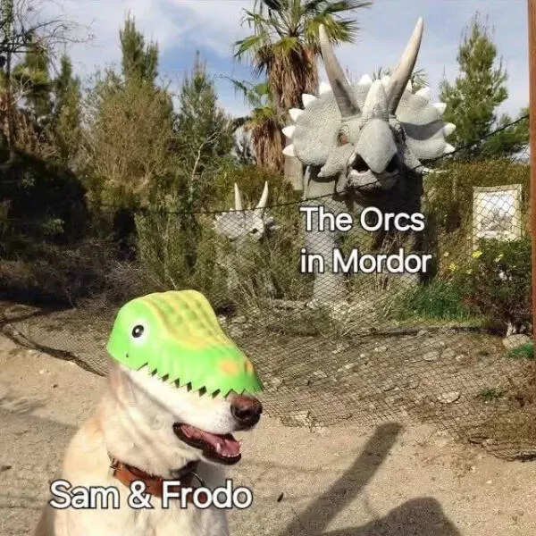 The one meme to rule them all - #26 