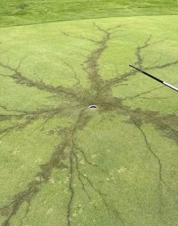 Le quotidien a une tournure inattendue - #14 Impact de la foudre sur un green de golf Le quotidien a une tournure inattendue - #14 Impact de la foudre sur un green de golf
