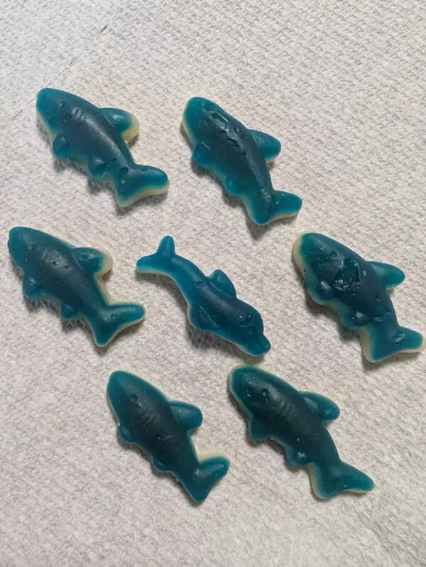 Ordinary scenes extraordinary twist - #23 A gummy dolphin was found in a shark pack