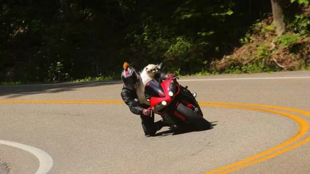 Picdump 148 - #1 