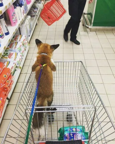 Picdump 148 - #12 