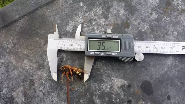 Picdump 148 - #31 