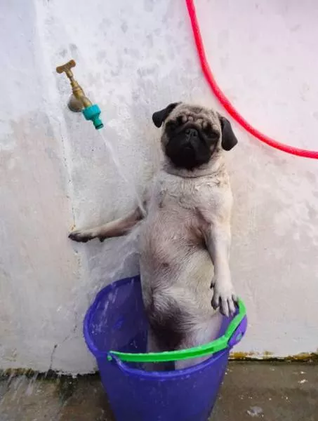 Picdump 148 - #38 