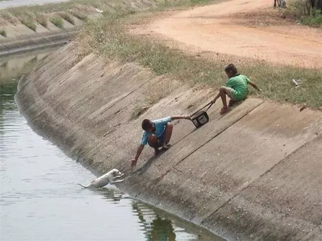 Picdump 148 - #59 