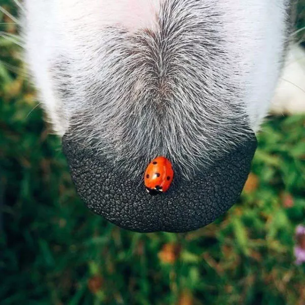The most fascinating photos - #13 