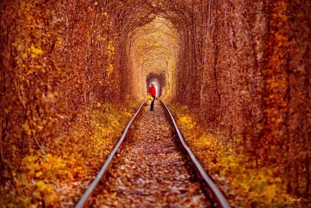 The most fascinating photos - #16 