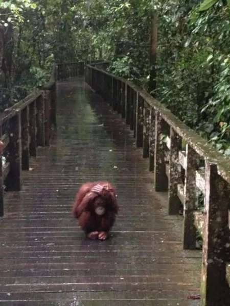 The most fascinating photos - #2 