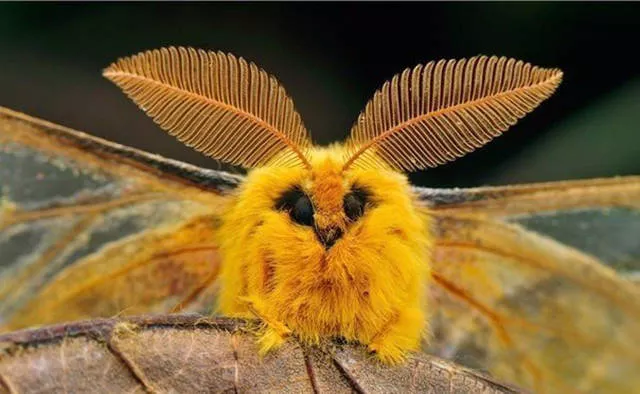 The most fascinating photos - #20 