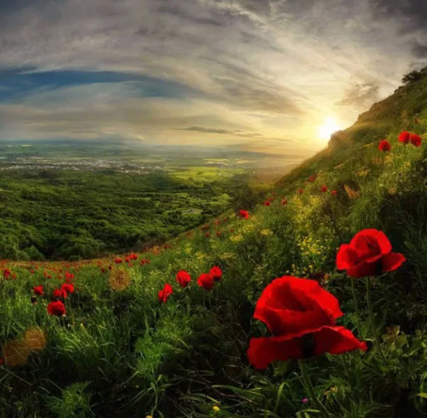 The most fascinating photos - #21 