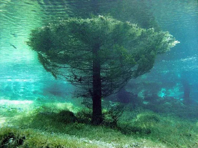 The most fascinating photos - #24 