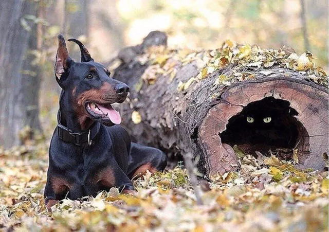 The most fascinating photos - #28 