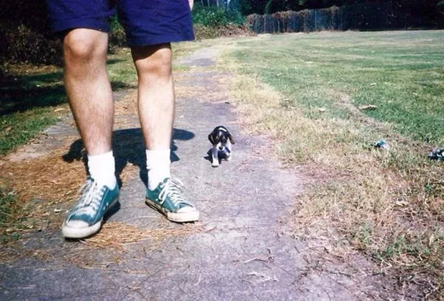 The most fascinating photos - #31 