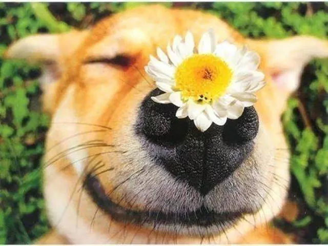 Les photos les plus fascinantes - #4 