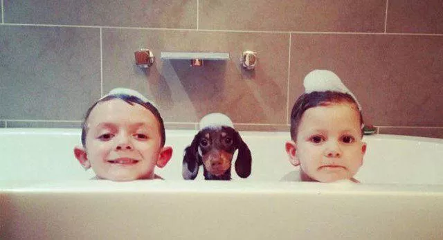 The most fascinating photos - #8 
