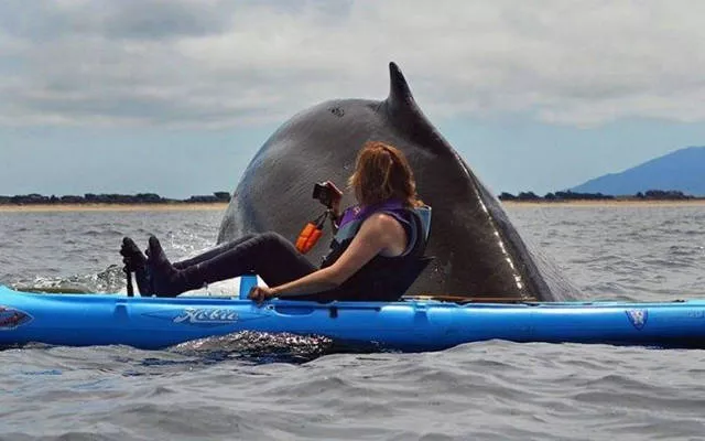 The most fascinating photos - #9 