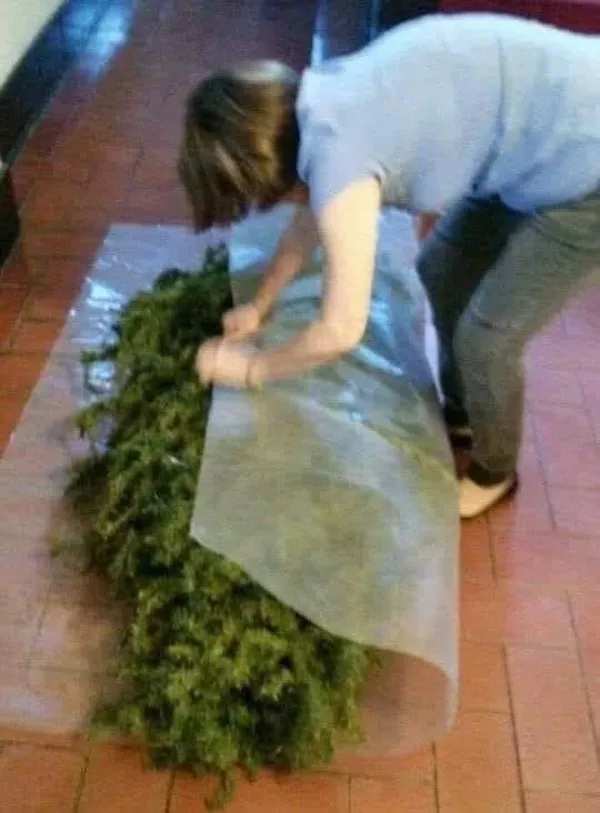 Picdump 1081 - #1 