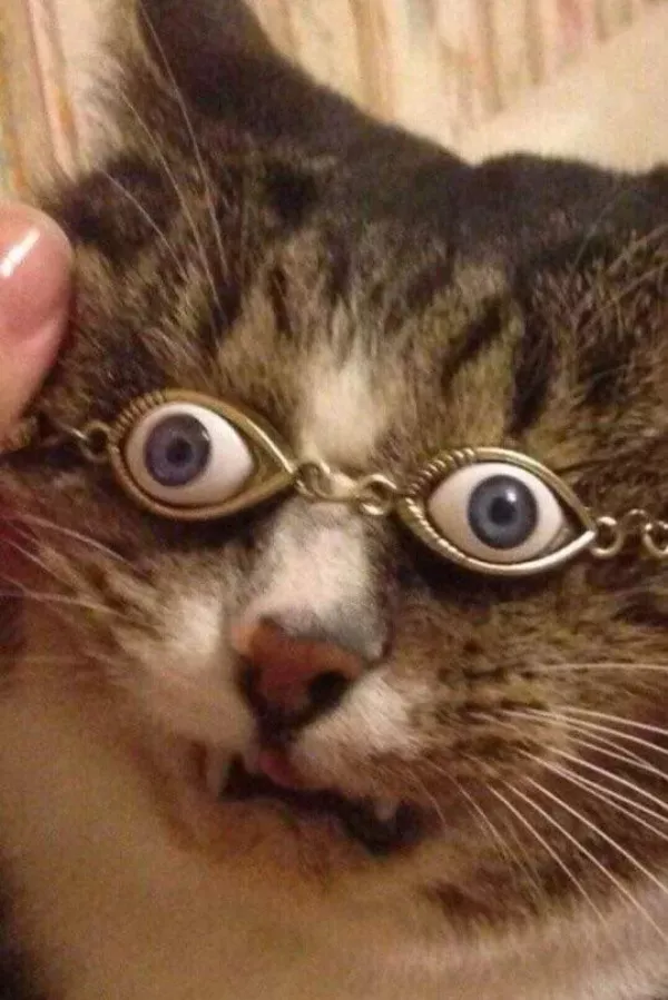 Picdump 1081 - #11 