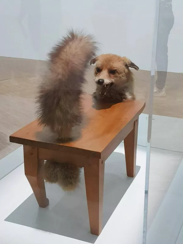 Picdump 1081 - #16 