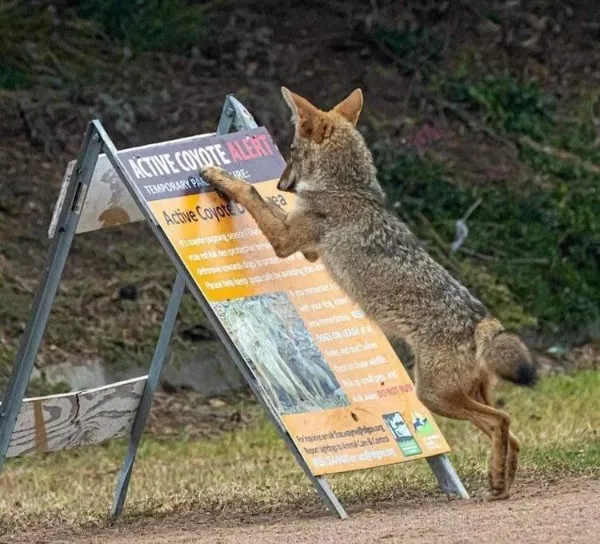 Picdump 1081 - #18 