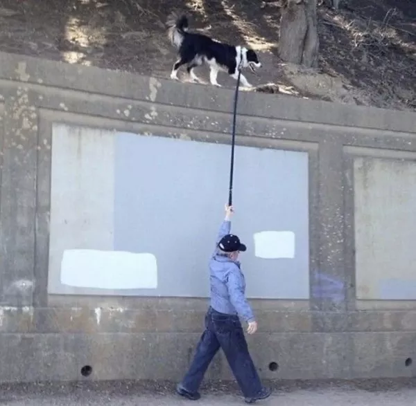 Picdump 1081 - #25 