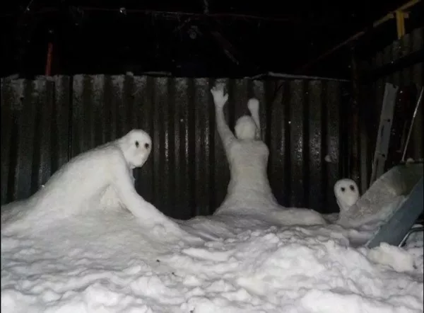 Picdump 1081 - #31 