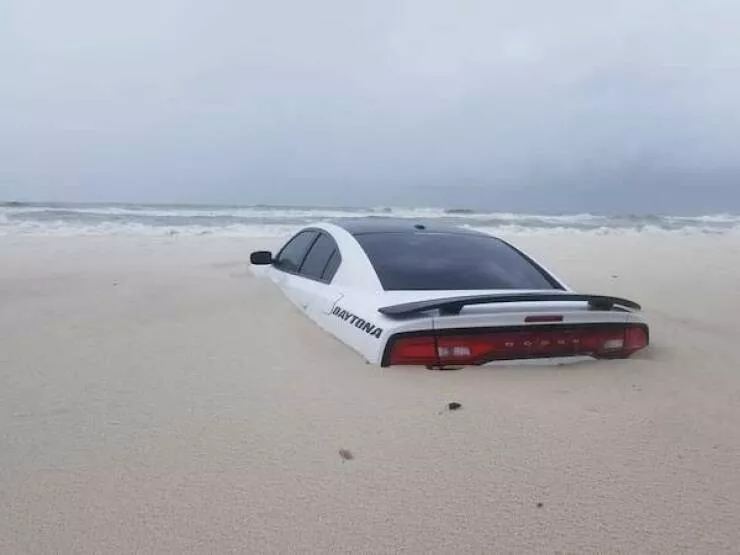 Picdump 1082 - #11 