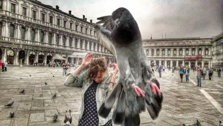 Picdump 1082 - #12 
