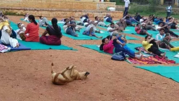 Picdump 1082 - #18 