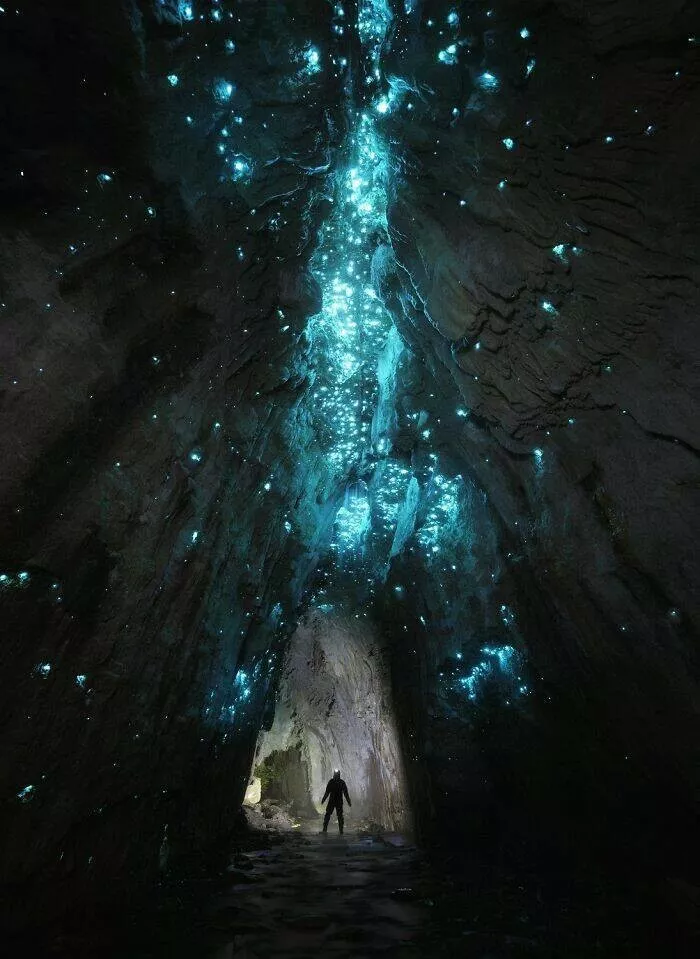 Meilleures photos couleur du concours refocus - #1 La galaxie de la Terre vue par un photographe