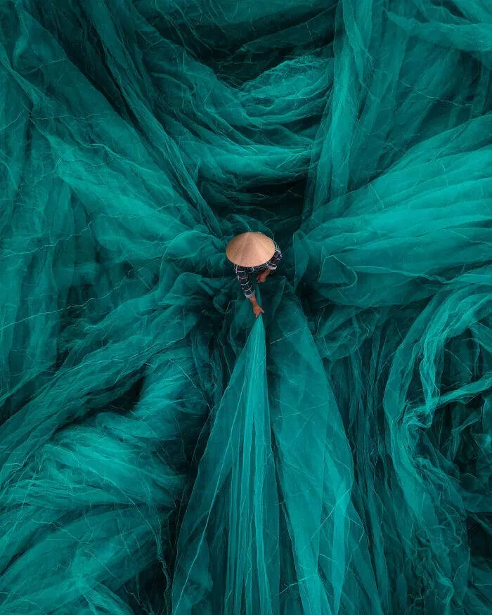 Meilleures photos couleur du concours refocus