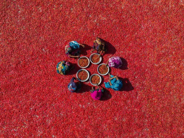 Meilleures photos couleur du concours refocus - #12 Des travailleurs du piment au Chili