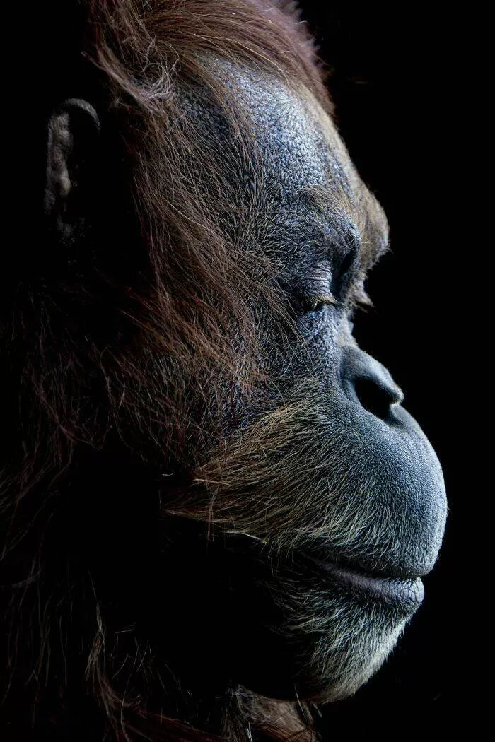 Best color photos from the refocus contest - #18 A person deep in a profound thought