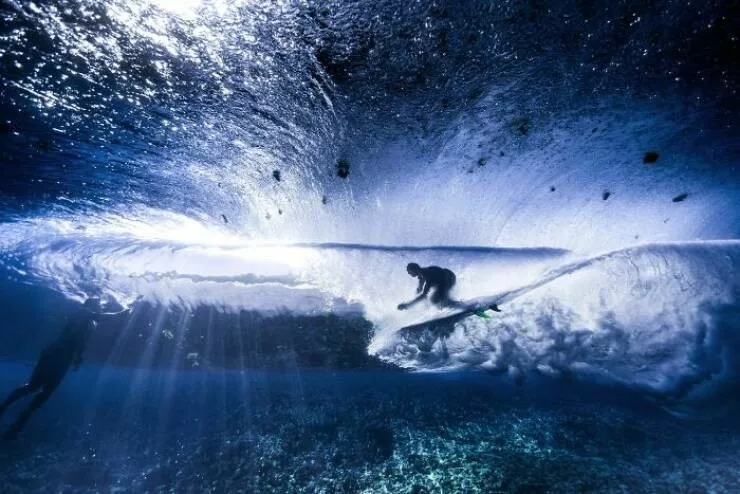 Meilleures photos couleur du concours refocus - #3 Une vue magnifique sous la surface de l'eau