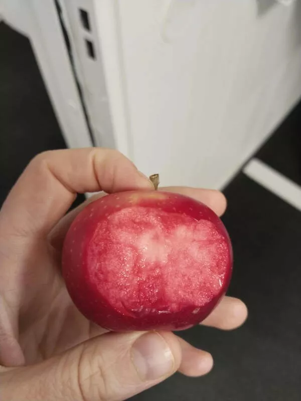 Incredible photos that are worth sharing - #10 I bit into an apple with strange red flesh Incredible photos that are worth sharing - #10 I bit into an apple with strange red flesh
