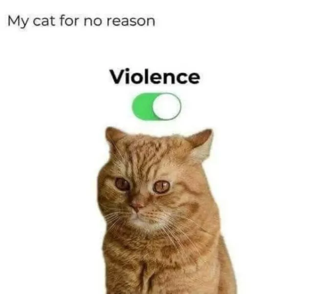 Chaotic memes when you need a good laugh - #14 