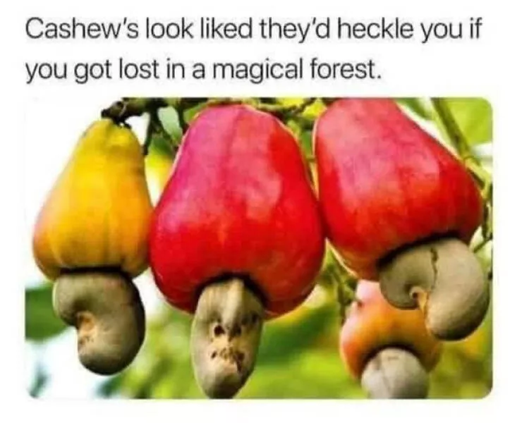 Chaotic memes when you need a good laugh - #16 
