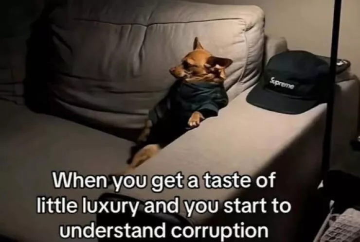 Chaotic memes when you need a good laugh - #24 