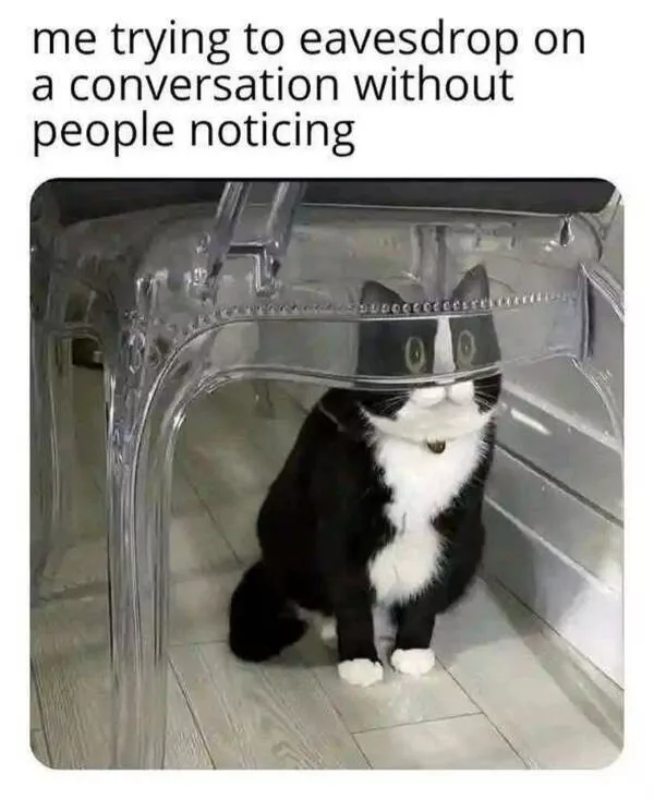 Chaotic memes when you need a good laugh - #25 