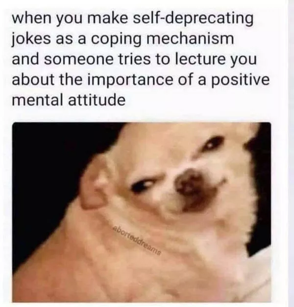 Chaotic memes when you need a good laugh - #26 